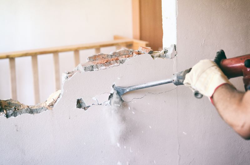 Ceiling Demolition Service detail